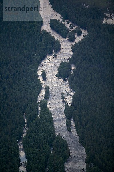 Fluss durch einen Wald  Schweden.