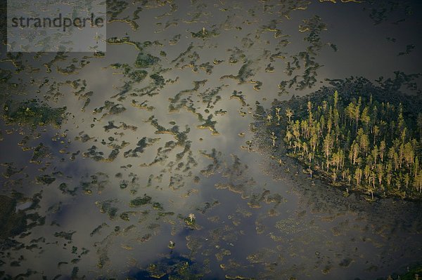 Luftbild von einem Sumpf  Schweden.