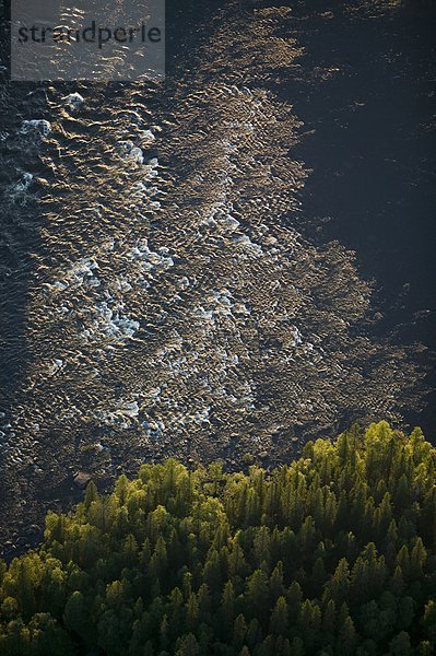 Ein streaming Fluss  Lappland  Schweden.