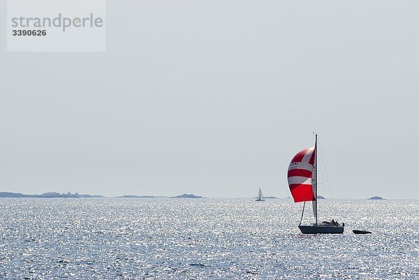 Ein Segelboot auf dem Meer  Schweden.