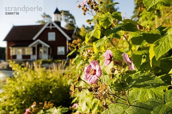 Blume Wohnhaus frontal alt Schweden