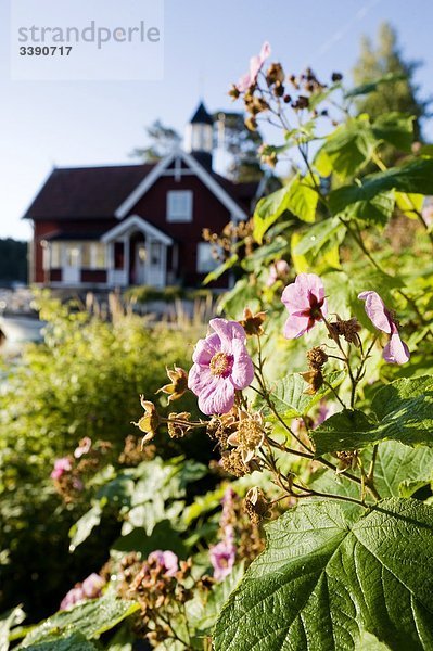 Blume Wohnhaus frontal alt Schweden