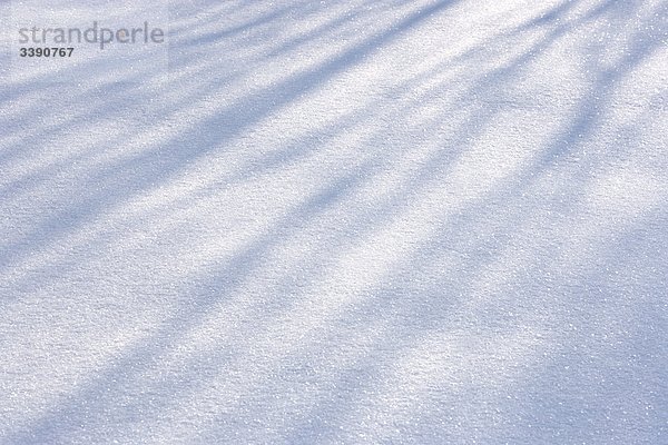 Schatten der Bäume im Schnee