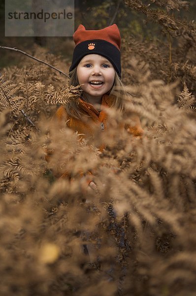 Ein kleines Mädchen in einem herbstlichen Wald  Schweden.