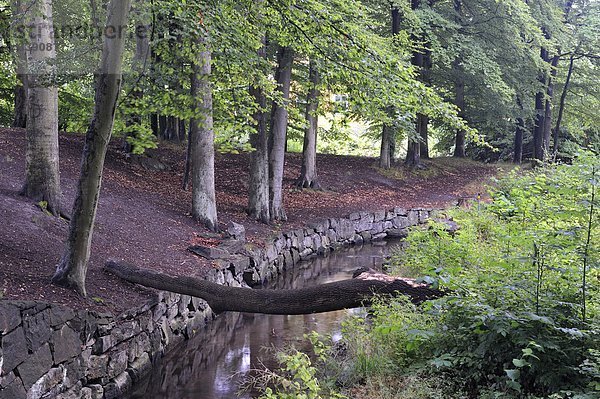 Creek im Park Umgebung