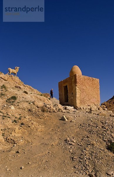 Altes Gebäude  Chebika  Tunesien  Afrika