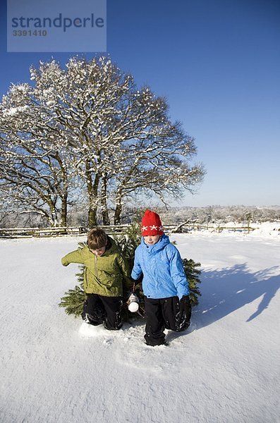 Kinder ziehen Weihnachtsbaum im Schnee