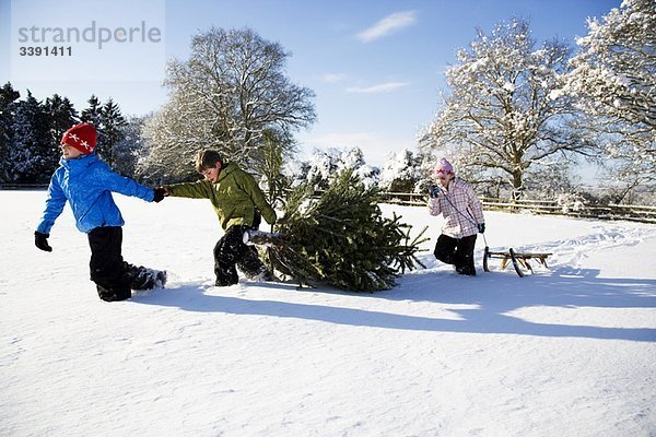 Kinder ziehen Weihnachtsbaum im Schnee