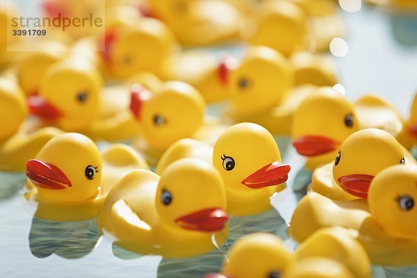 Viele Badeenten schwimmen im Pool