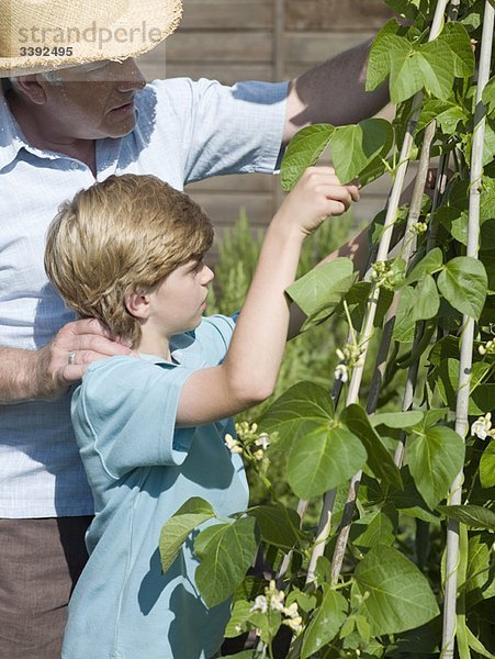 Ein Vater  der seinem Sohn das Gärtnern beibringt.