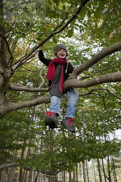 Junge auf einem Baum