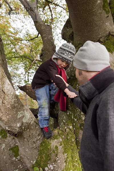 Vater hilft dem Sohn beim Klettern auf einen Baum