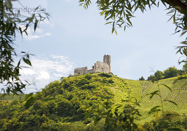 Burg Landshut in Bernkastel-Kues  Rheinland-Pfalzm  Deutschland  Flachwinkelansicht