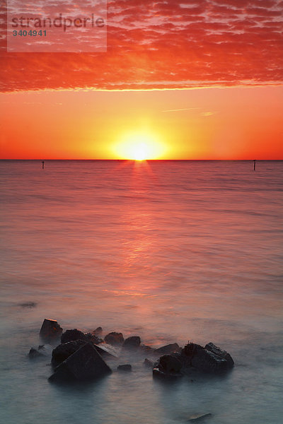 Wattenmeer bei Sonnenaufgang  Texel  Niederlande