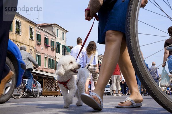 Fußgänger auf dem Corso del Popolo  Chioggia  Italien