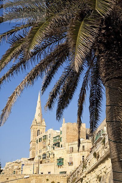 Blick auf Valletta  Palme im Vordergrund  Malta  Flachwinkelansicht