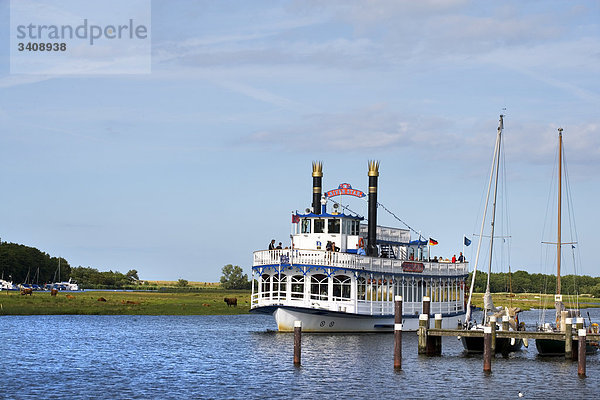 Raddampfer im Bodden vor Prerow  Darß  Deutschland