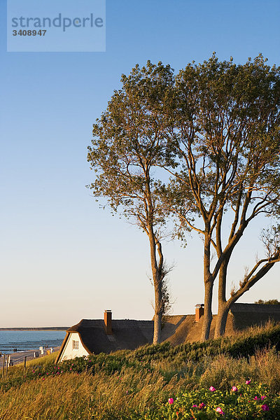 Reetdachhaus in den Dünen am Strand  Ahrenshoop  Deutschland