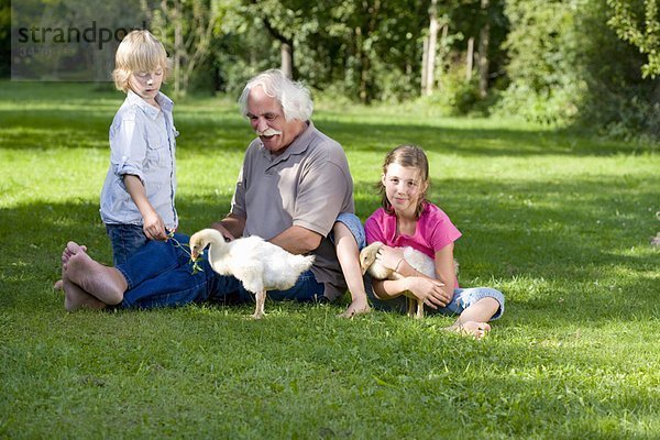 Großvater und Enkelkinder mit Gänsen