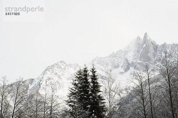 Bäume und Berg in französische Alpen