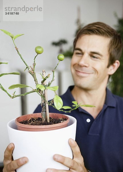 Lächelnder Mann hält Pflanze