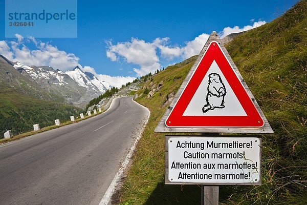 Österreich  Murmeltier-Verbotsschild auf Großglockner Hochalpenstraße