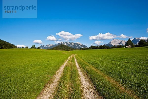 Deutschland  Bayern  Feldweg mit Blick auf das Karwendelgebirge