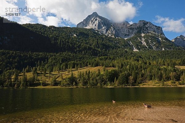 Deutschland  Bayern  Ferchensee mit Wettersteingebirge im Hintergrund