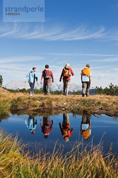 Österreich  Salzburger Land  Vier Wanderer in der Landschaft  Rückansicht