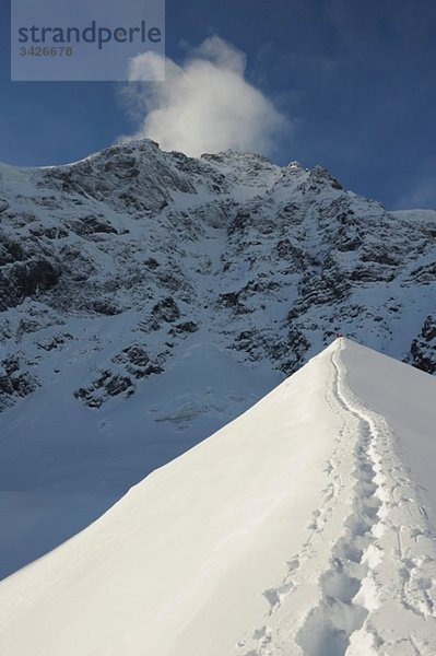 Italien  Südtirol  Sulden  Skipisten im Schnee  Nahaufnahme
