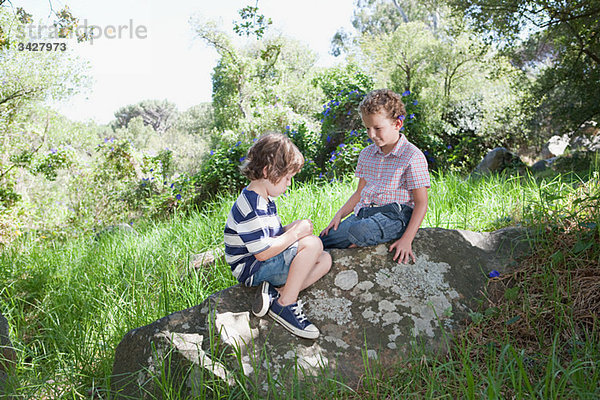 Zwei jungen sitzend auf einem Felsen