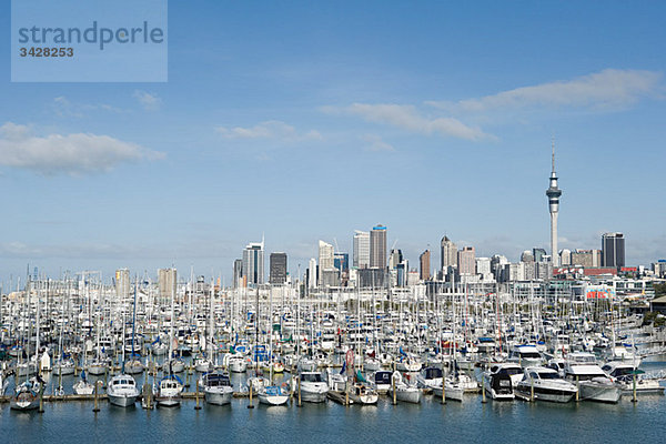 Auckland Skyline