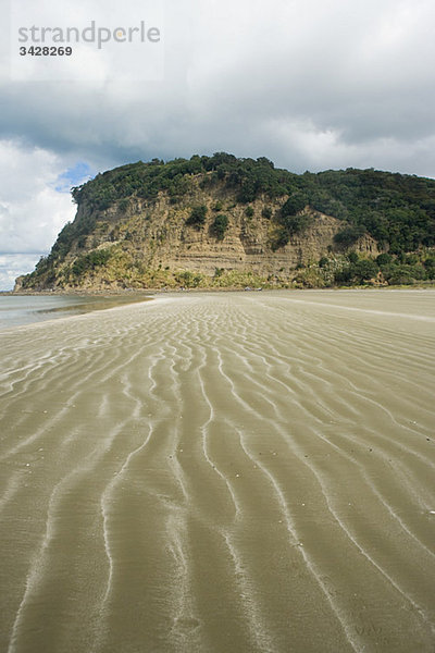 Strand von Wendeholm National Park in der Nähe von Auckland