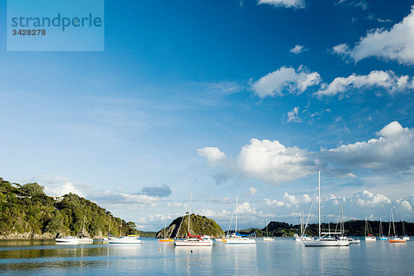 Bay of Islands  Yachten in den Buchten bei Kerikeri