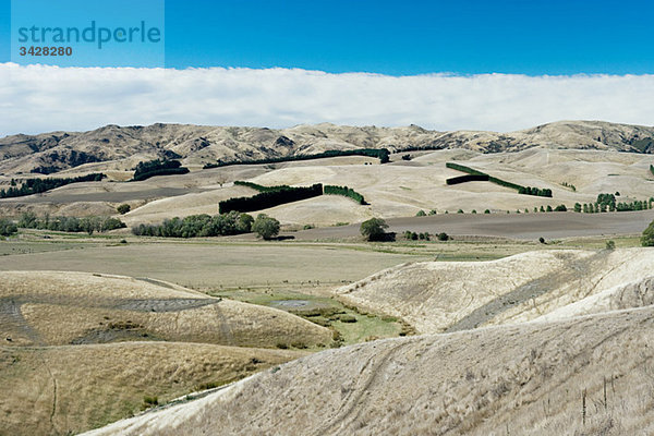 South Marlborough  Landschaft in der Nähe von Seddon