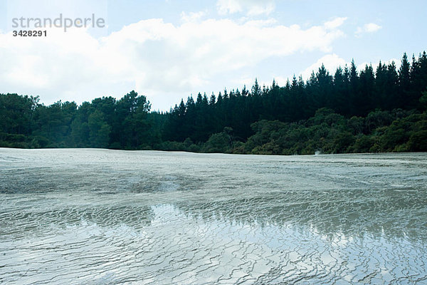 Rotorua  Waiotapu Thermalgebiet  Die Terrassen