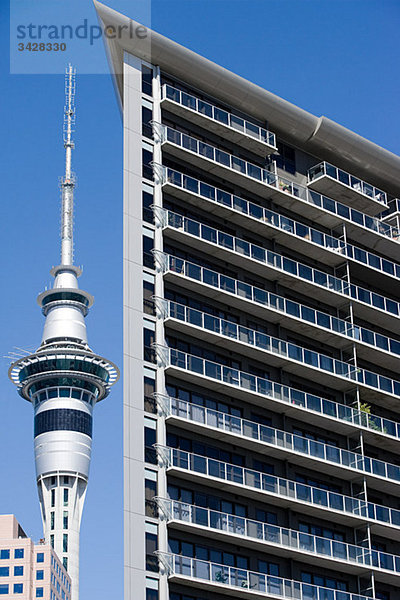 Auckland  Skytower und Wolkenkratzer