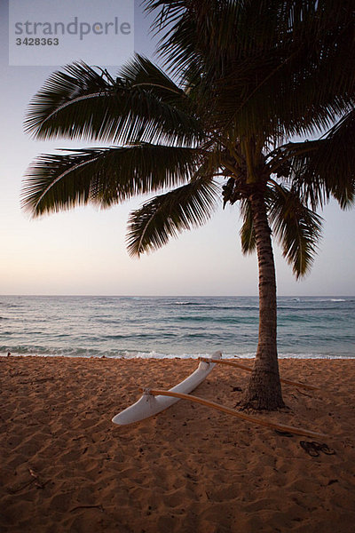 Ausleger Kanu und Palme am hawaiianischen Strand