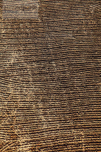 Gepflügte Felder am Westufer von Nilägypten