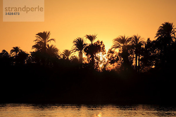 Rive nile in der Nähe von Luxor bei Sonnenuntergang