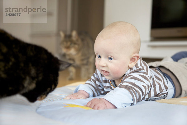 Baby und zwei Katzen auf einer Decke auf dem Boden