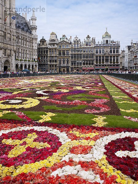 Blumenbeet auf dem Grote Markt  Brüssel  Belgien  Europa