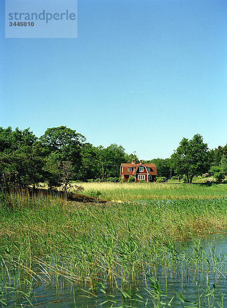 Wohnhaus Sommer Ansicht