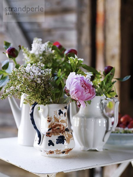 Skandinavien  Schweden  Ekero  Blumen in der Vase  Nahaufnahme