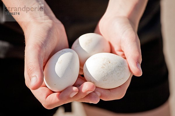 Skandinavische Halbinsel  Schweden  Göteborg  menschliche Hand halten drei Eier  Nahaufnahme