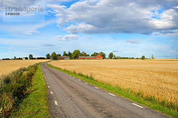 Skandinavische Halbinsel  Schweden  _ñsterg__tland  Ansicht von Straßen durch Feld