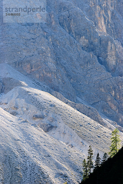 Europa  Italien  Ansicht von Bäumen auf Berg