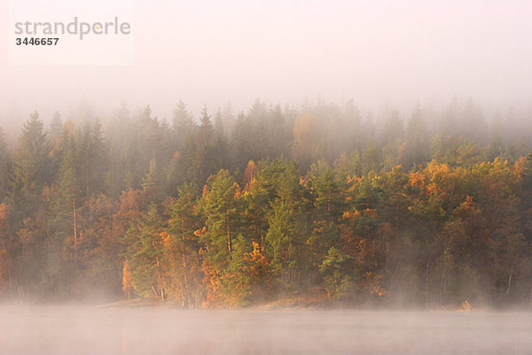 Skandinavien  Schweden  Vastergotland  Molnlycke  Blick auf nebeligen See im Herbst