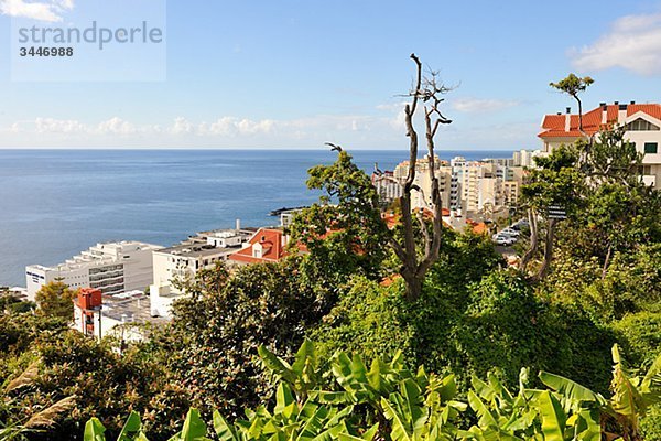 Madeira  View of cityscape