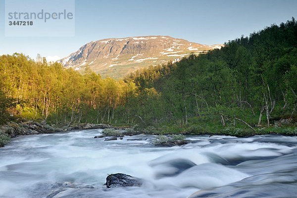 Eine rasche in einer Berglandschaft